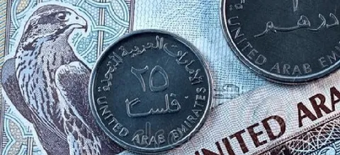 نرخ ارز نیمایی در تاریخ 8 دی 1403